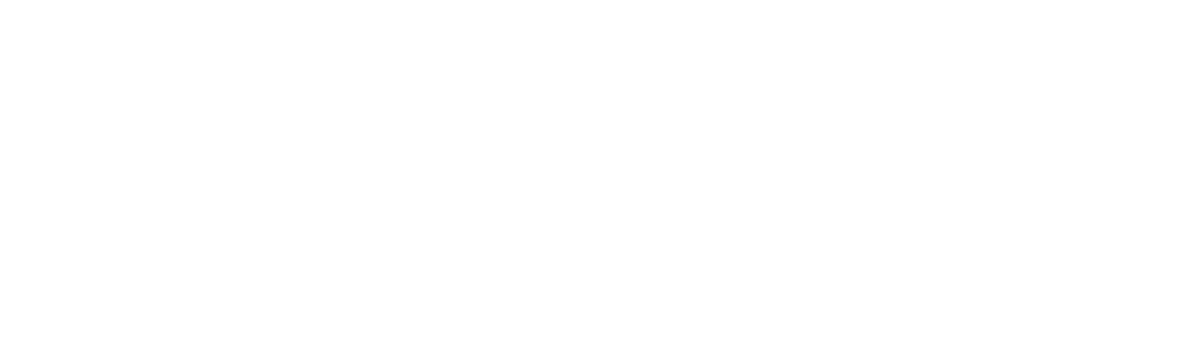 Logo arizon 2.png